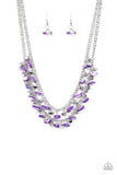 Paparazzi Accessories Pebble Pioneer Purple Necklace 